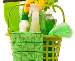 green , plastic cleaning basket